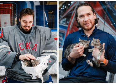 Спортсмены хоккейного клуба СКА из Санкт-Петербурга и их болельщики собрали 247 кг корма для бездомных животных за игру